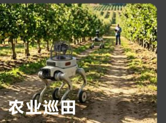 Orchard / field inspection routes