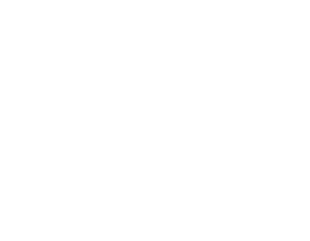 CORELINK 芯链
